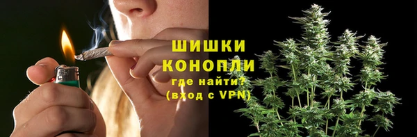 PSILOCYBIN Белокуриха